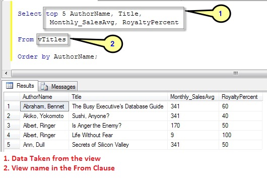 queries data from the view